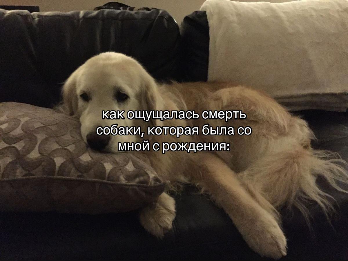 @𝐭𝐡𝐢𝐫𝟏𝟑𝐭𝐞𝐞𝐧