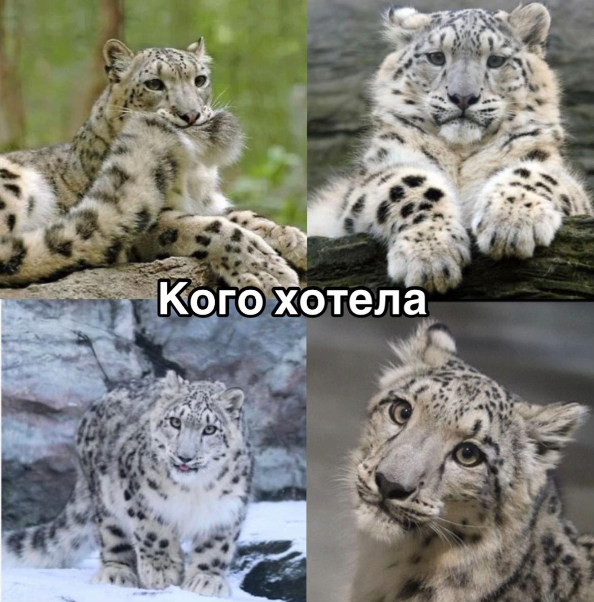 @Yuki
