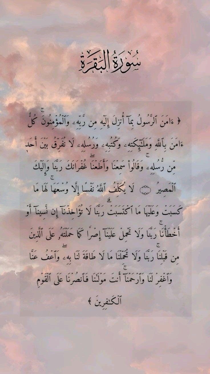 @Tala Zaghal