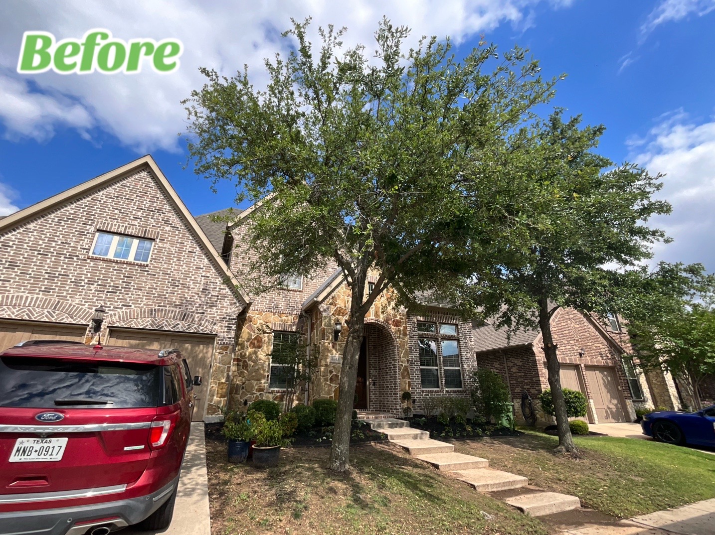 @Live Oak Tree Service