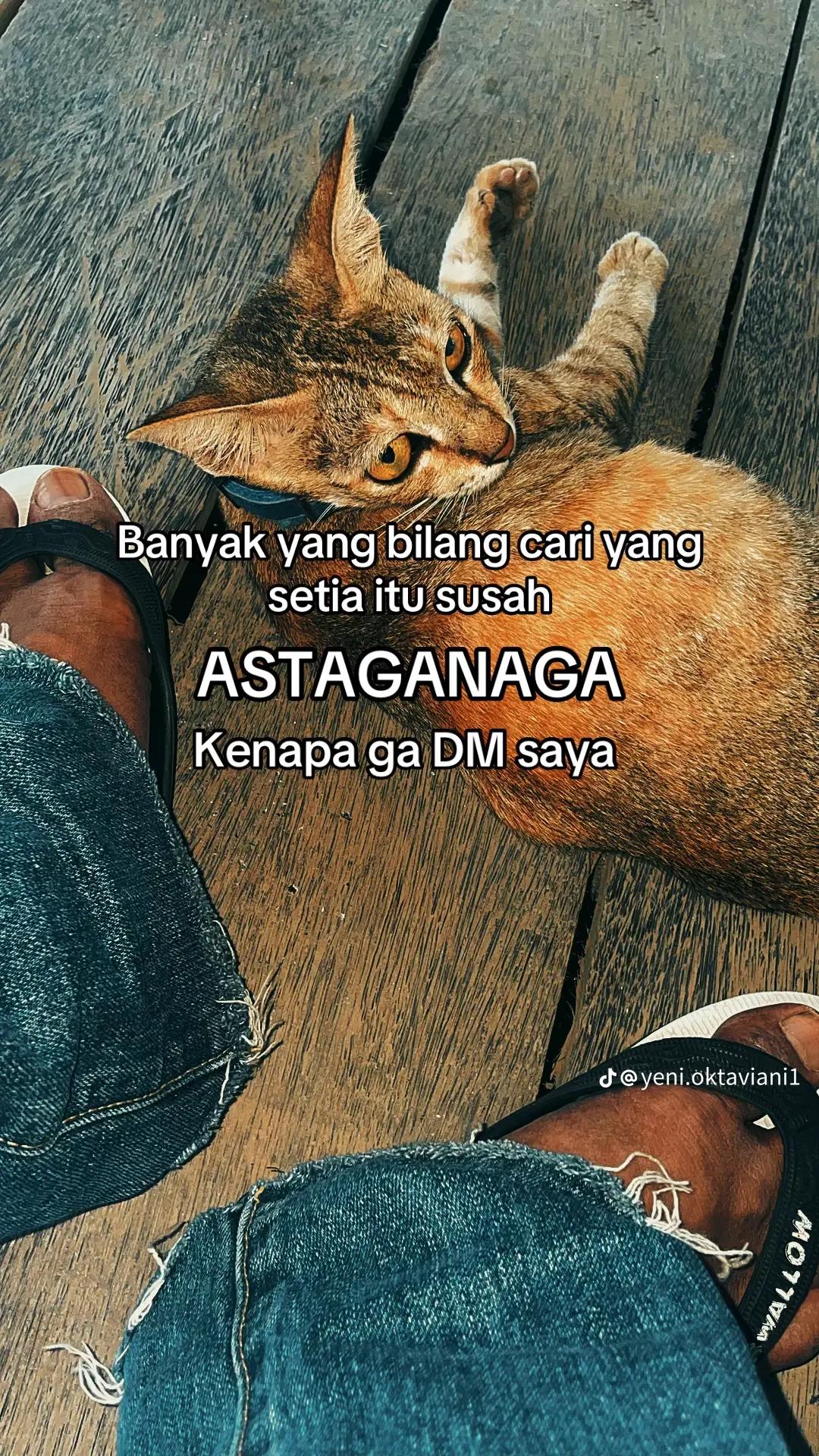 @BOCIL_24