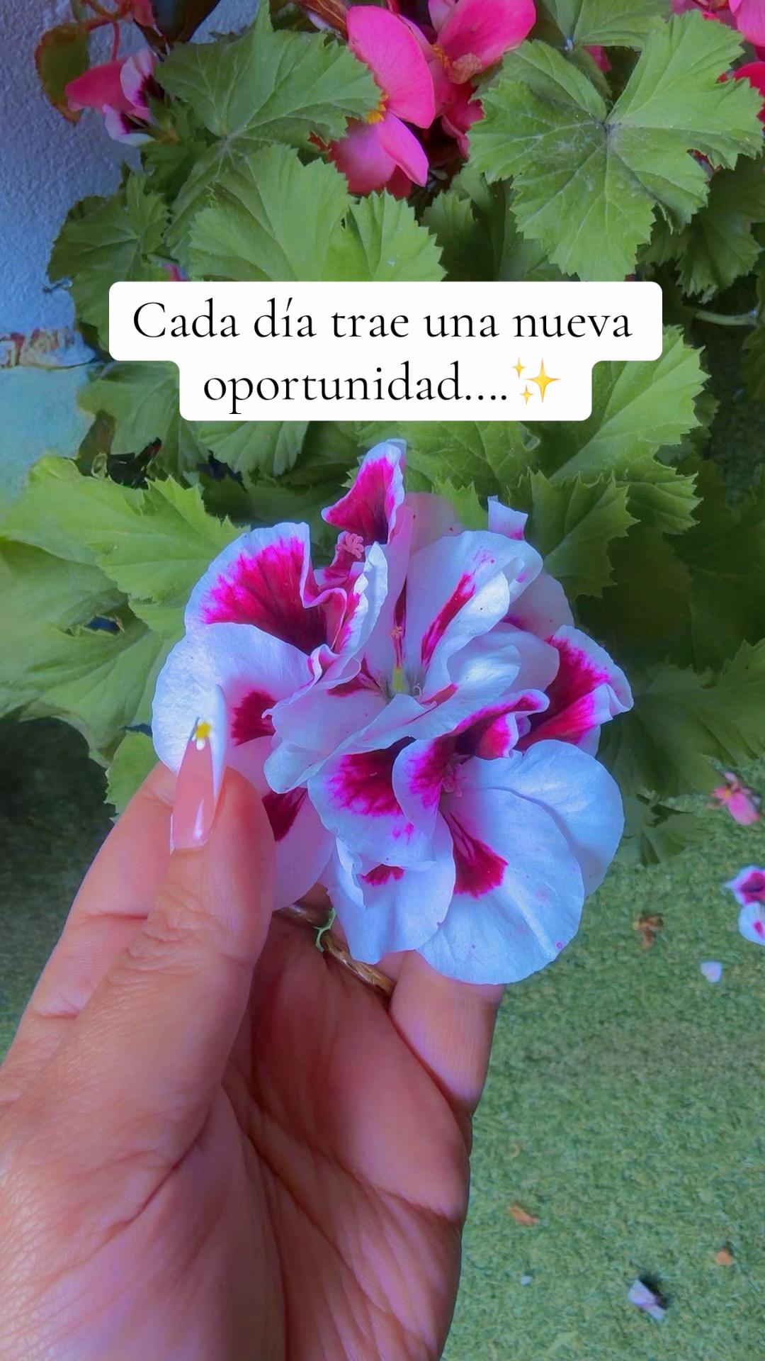 @C@R🧿
