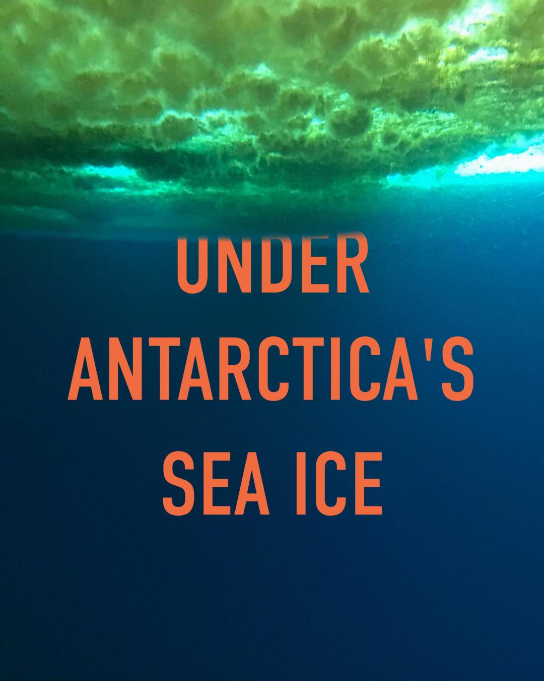 @Matty Jordan | Antarctica