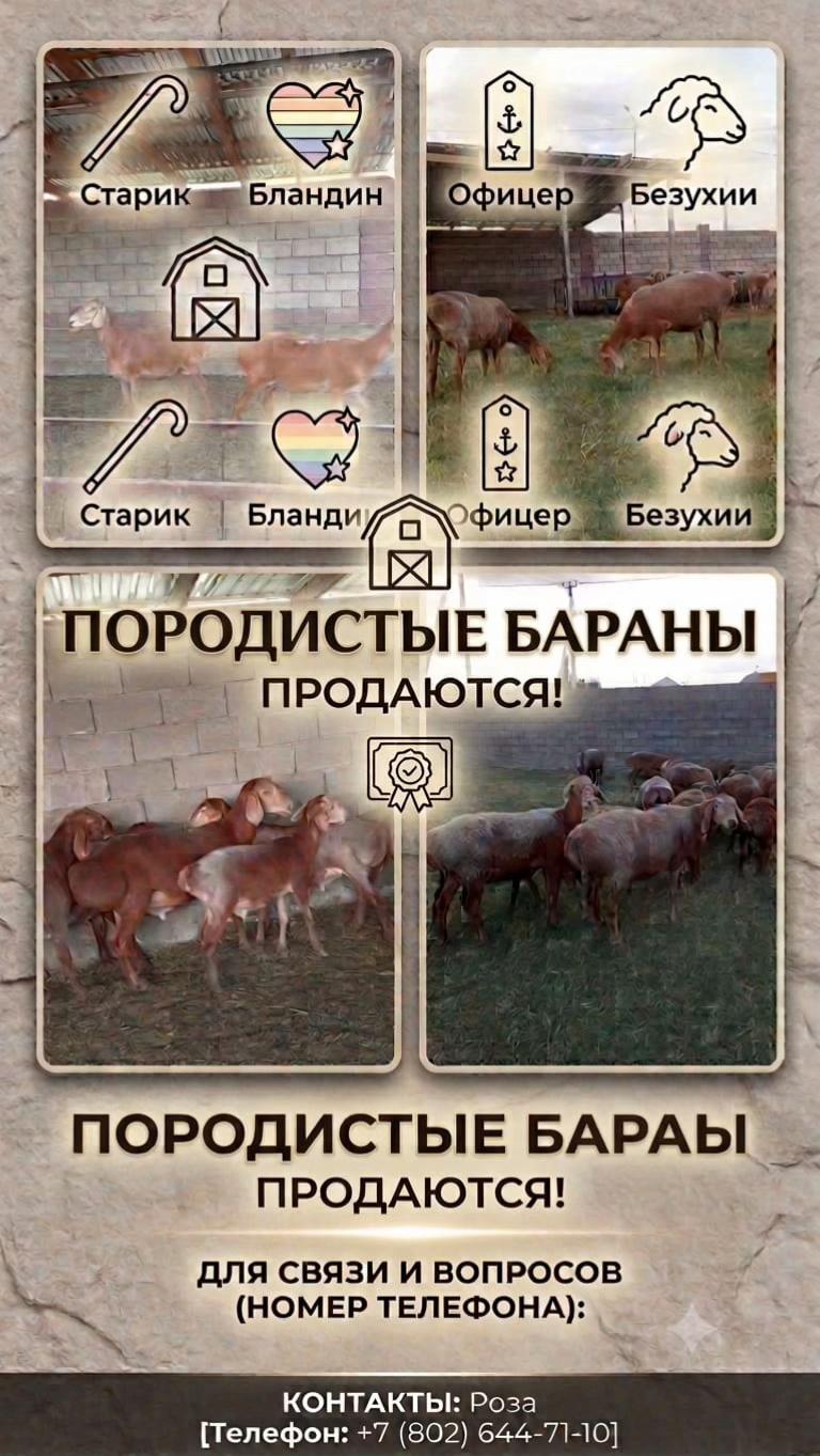 @Асем04.02