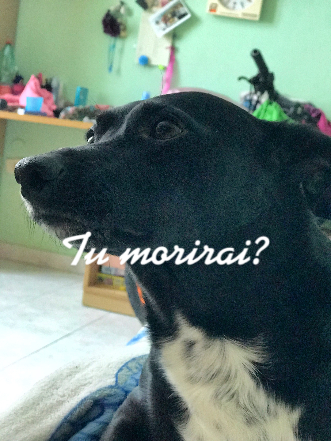 @Martina Olmo