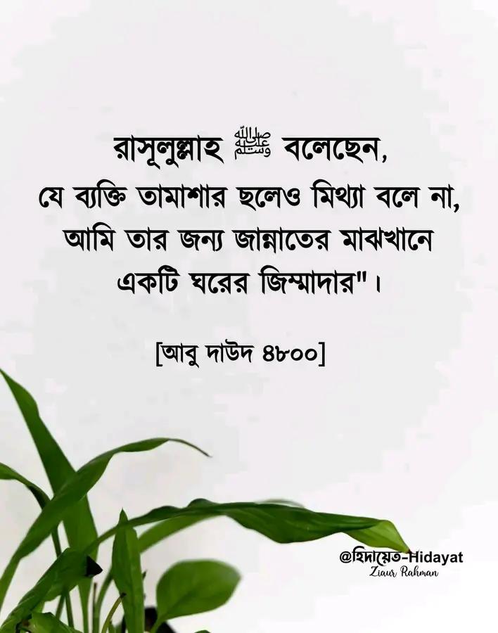 @মোঃনাজিম আফ্রিদি ১০