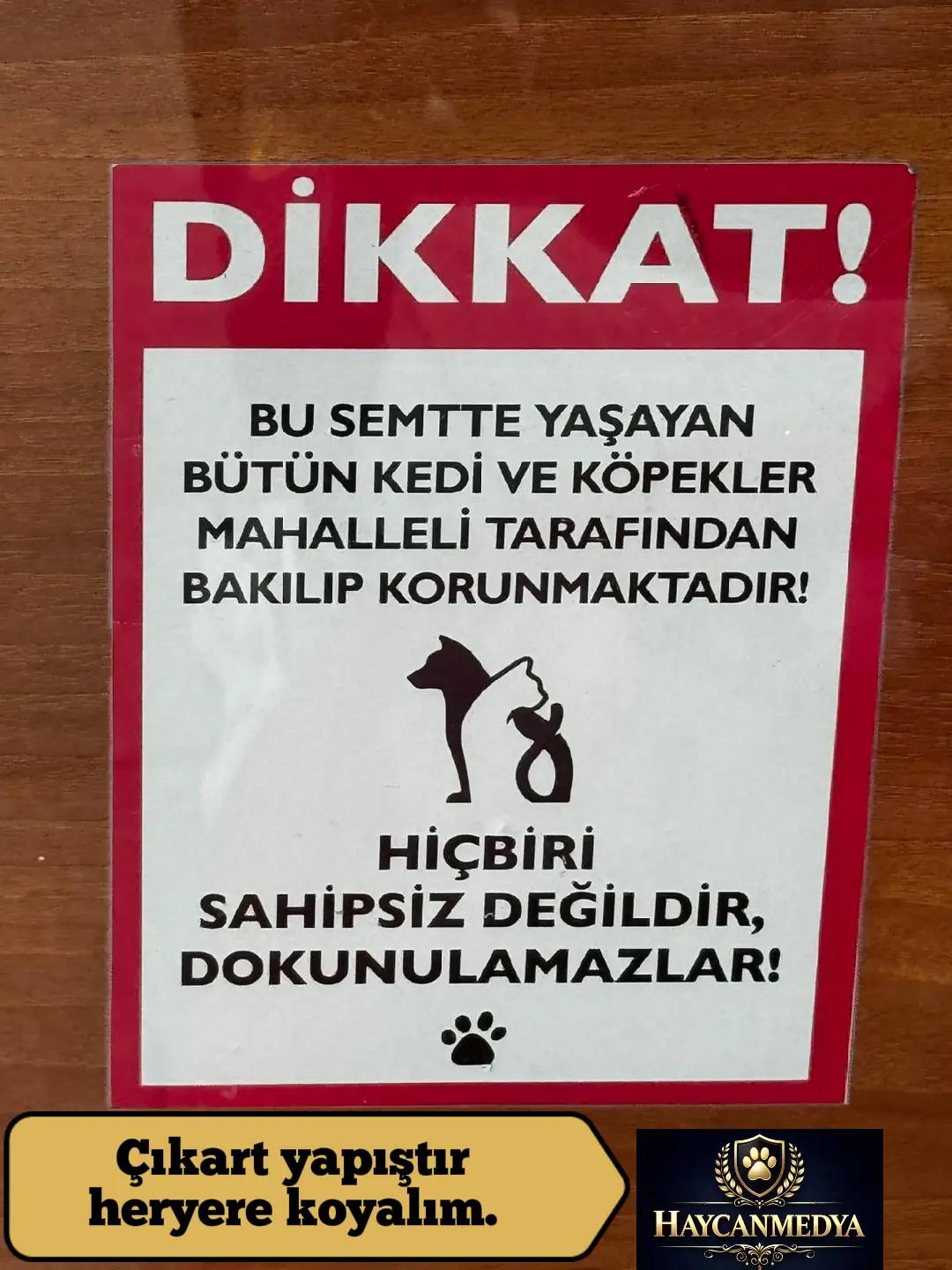 @HAYCAN MEDYA 🌐✔️