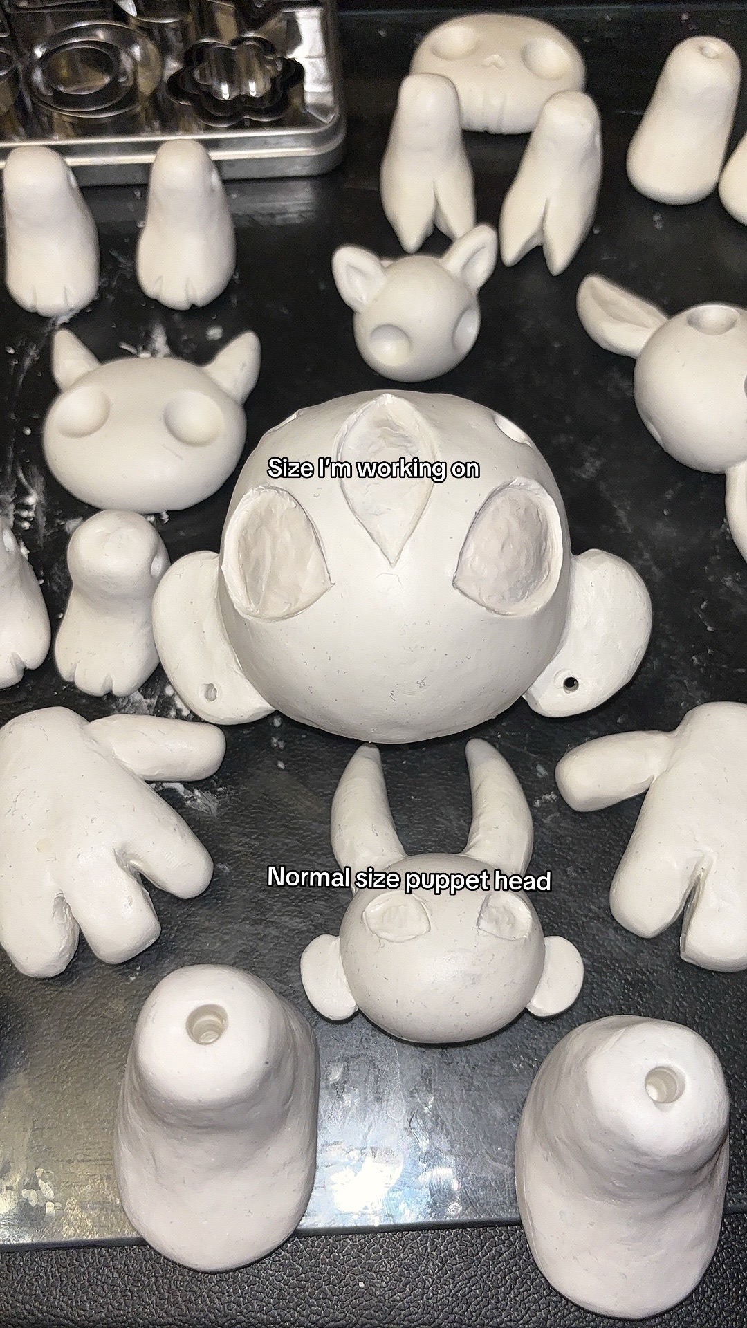 @CryptidsInYourCloset