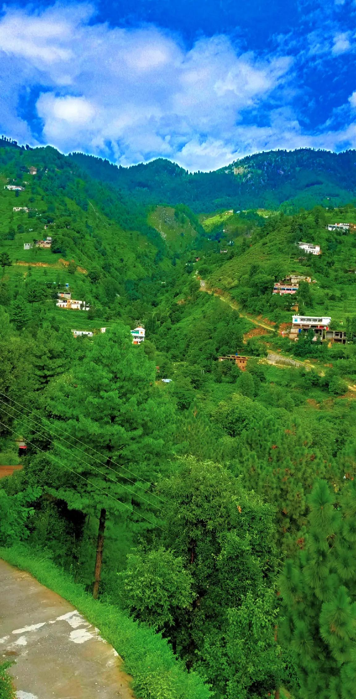 @🌲غر سنے 🌲