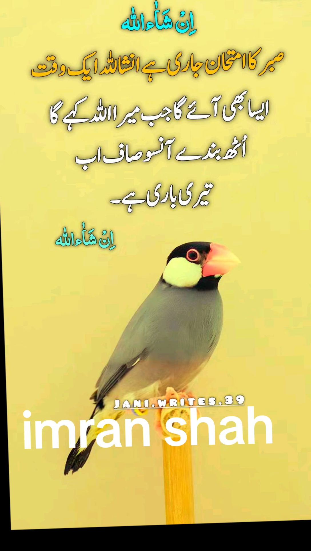 @Syed Ali Raza