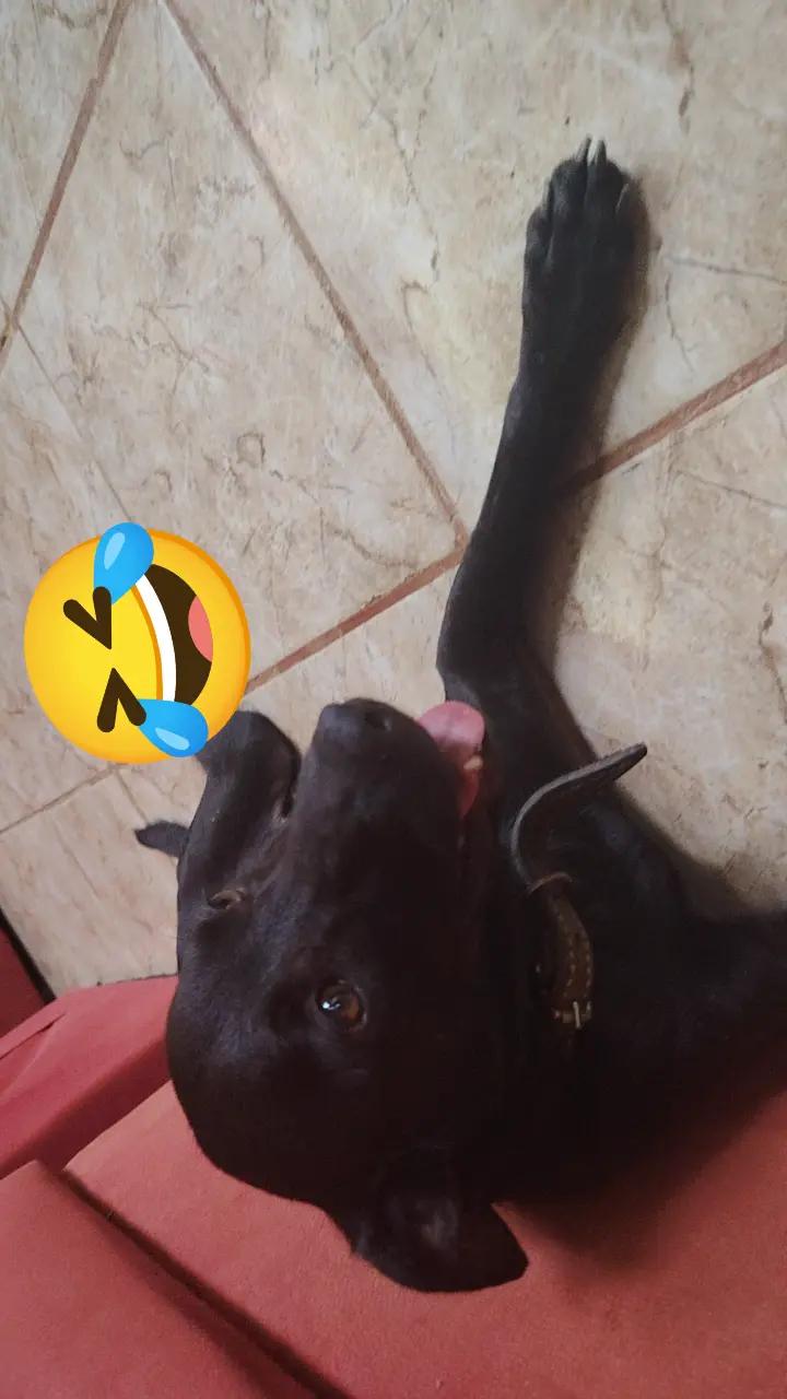 @M Diaz Mejia