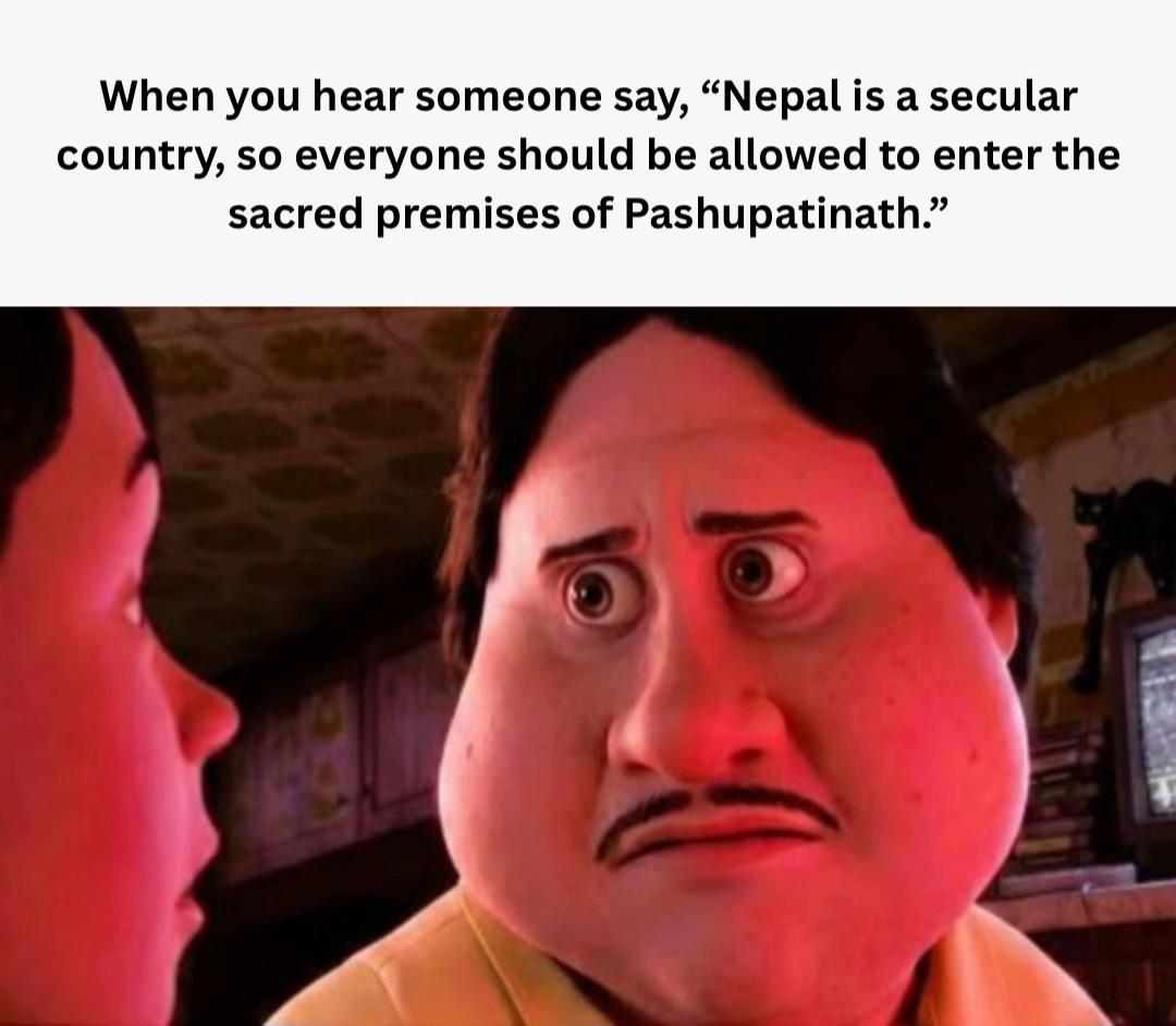 @hamro history