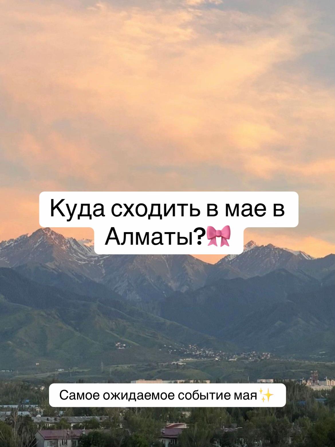 @demalu.diary