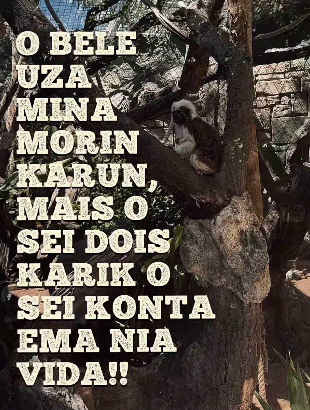 @🦭