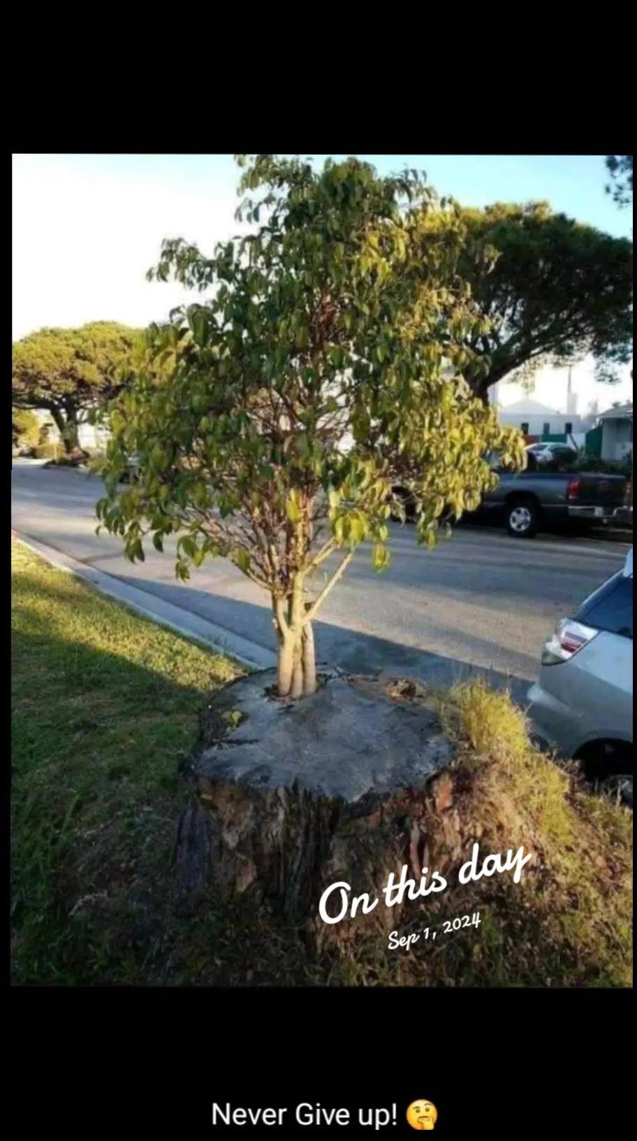 @Gogo Ojulari🤝🤲🤲🤲🙏🙏🙏🙏