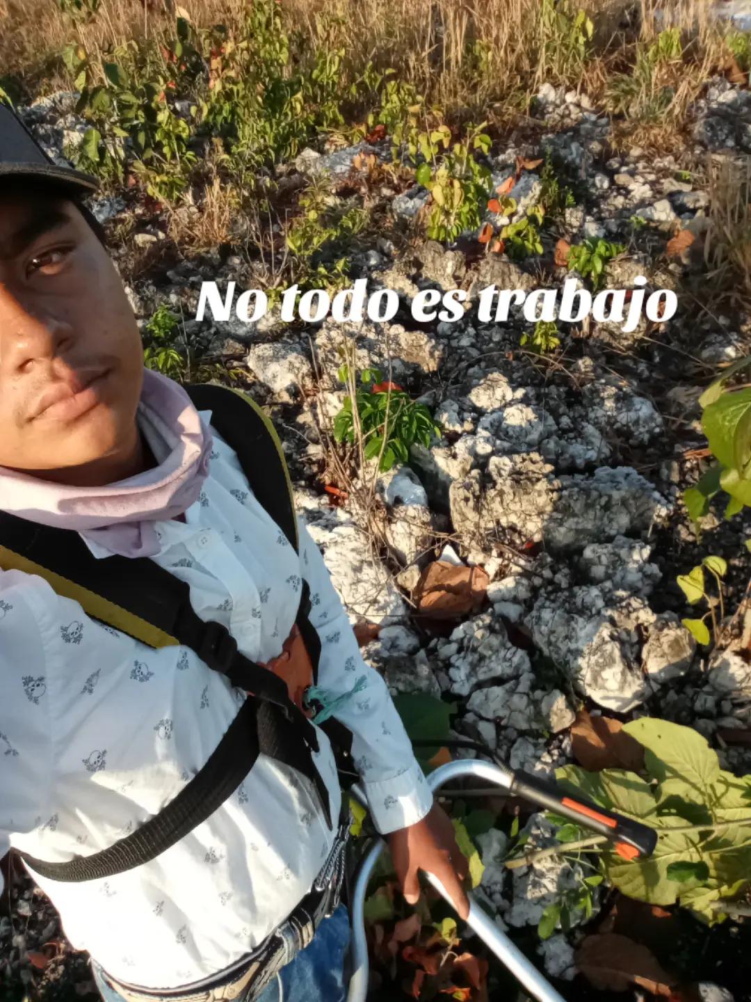 @Jesus Díaz