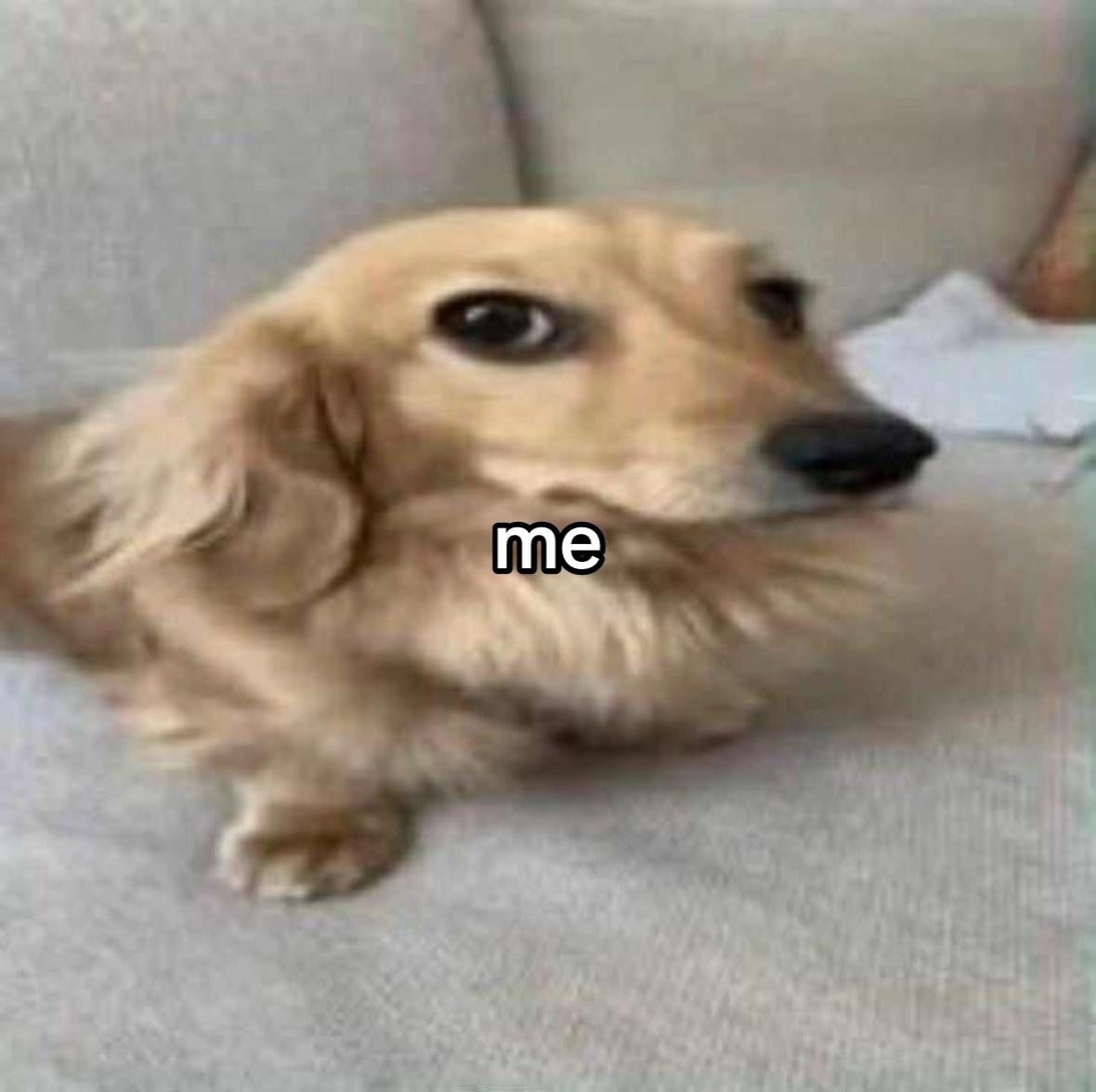 @kuit