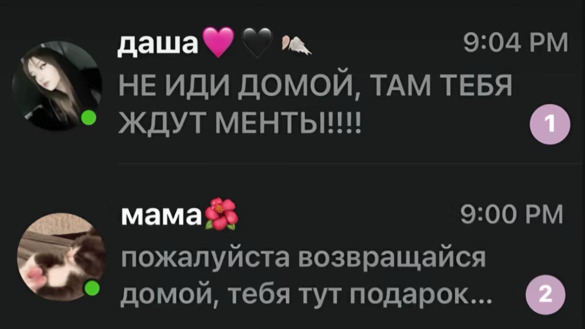 @бездарная кошка