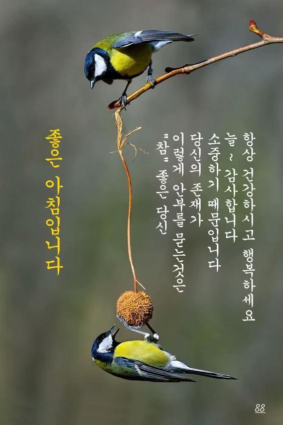 @🕵️👉🏻촌마을 농사꾼 청춘할배👈🏻🕵️