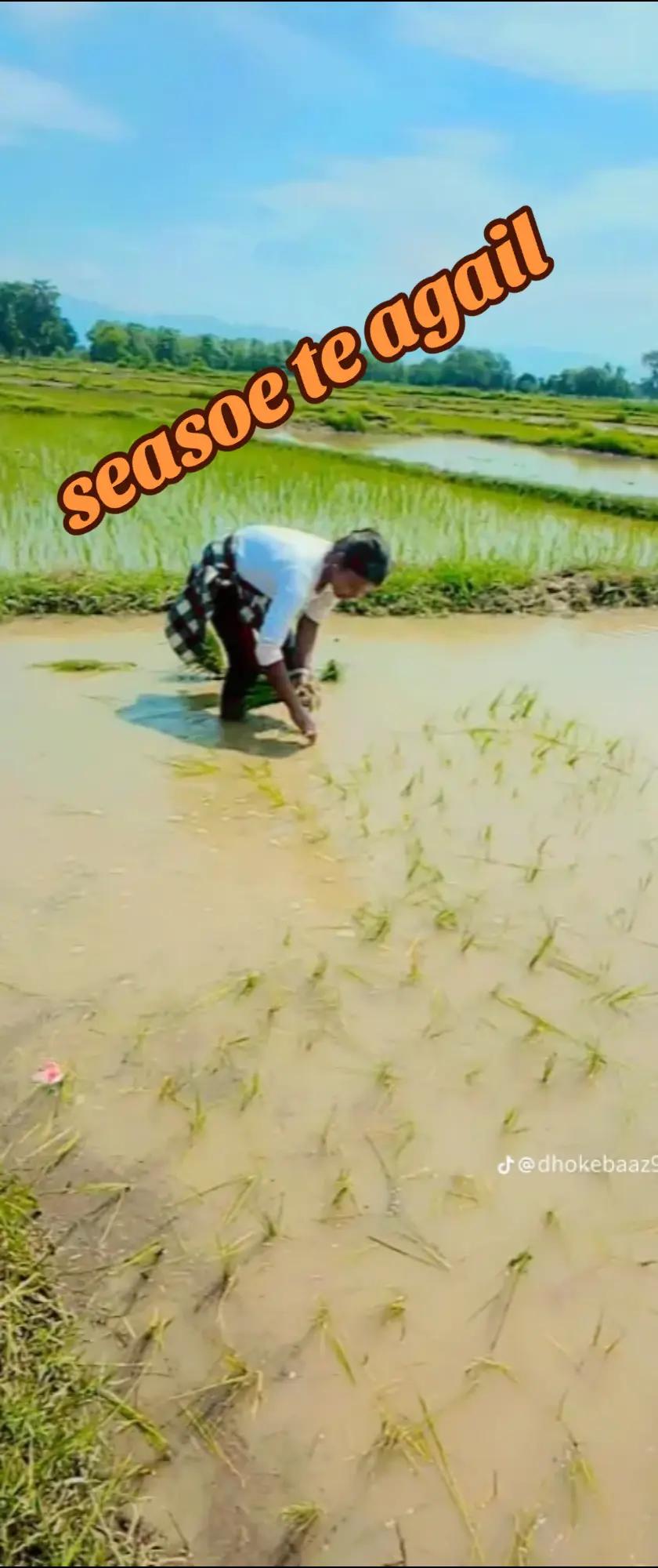 @S❤️&zwj;🩹 R janu..🤫😘