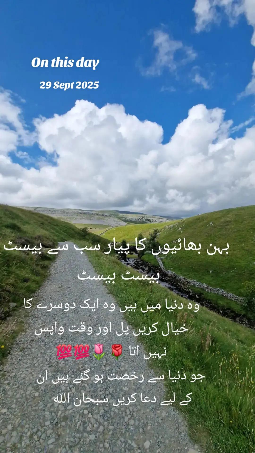 @amaan1949