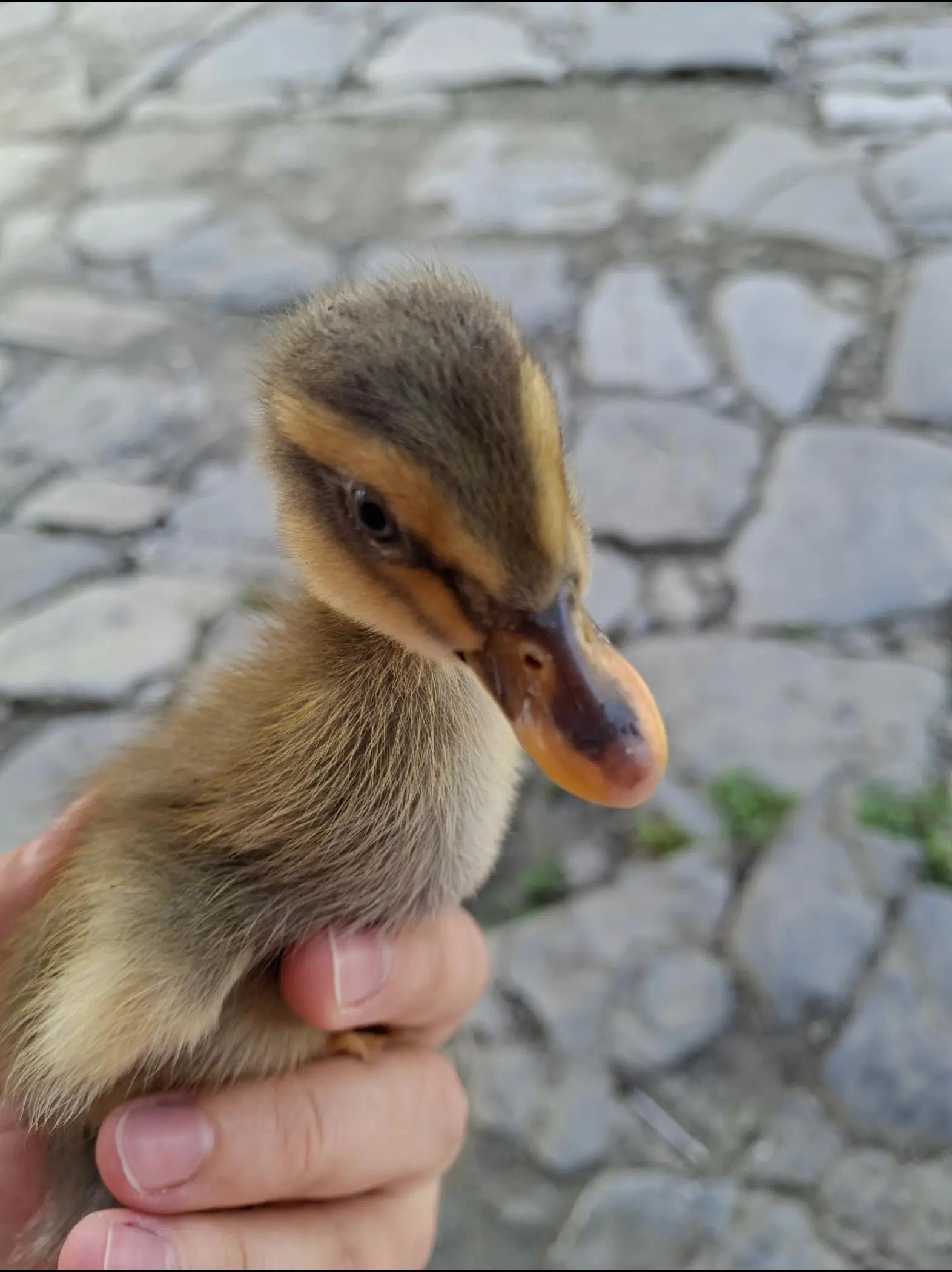 @GÜLÜM✅️