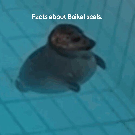 @Isa
