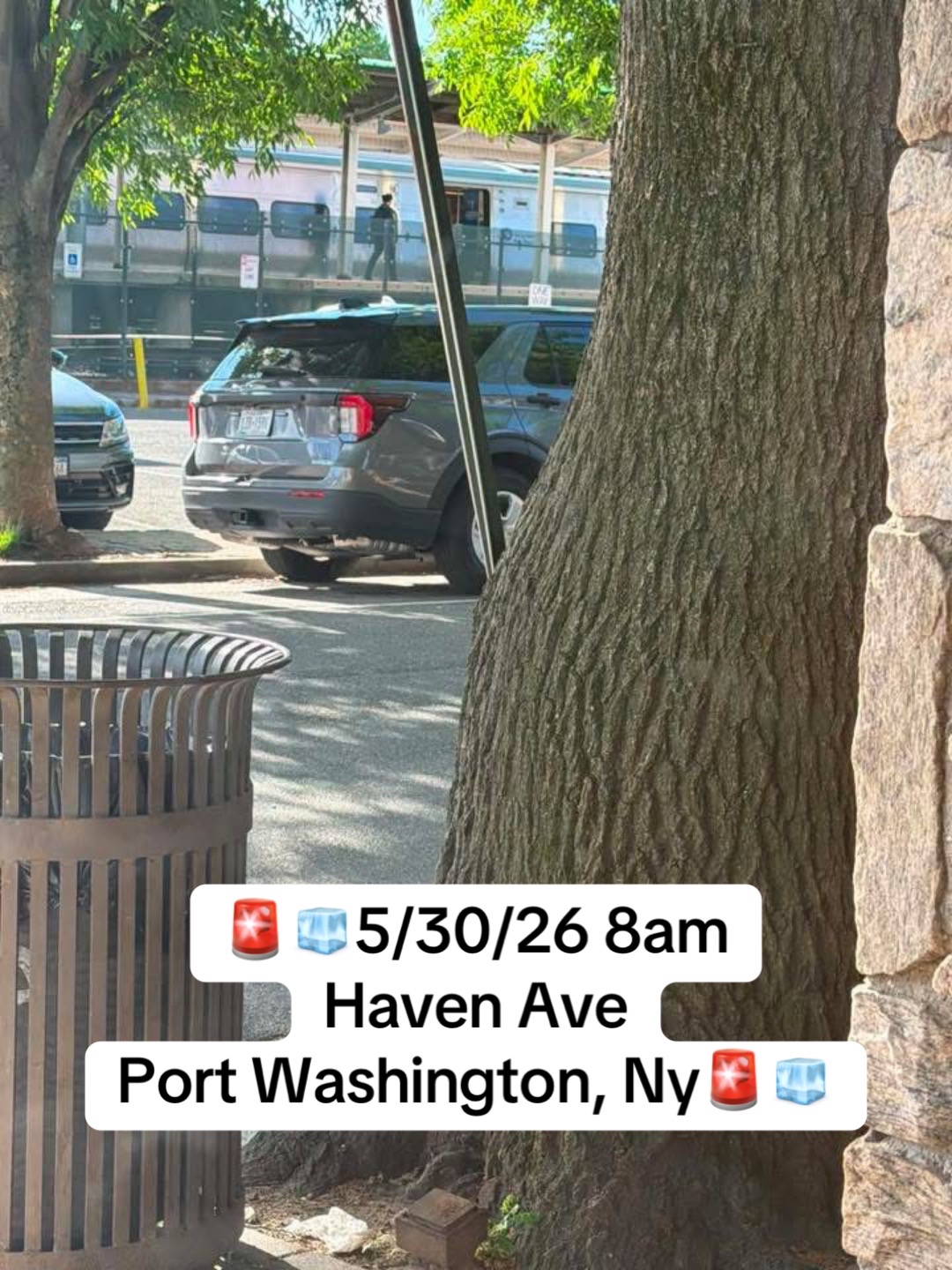 @Salvadore&ntilde;os NY