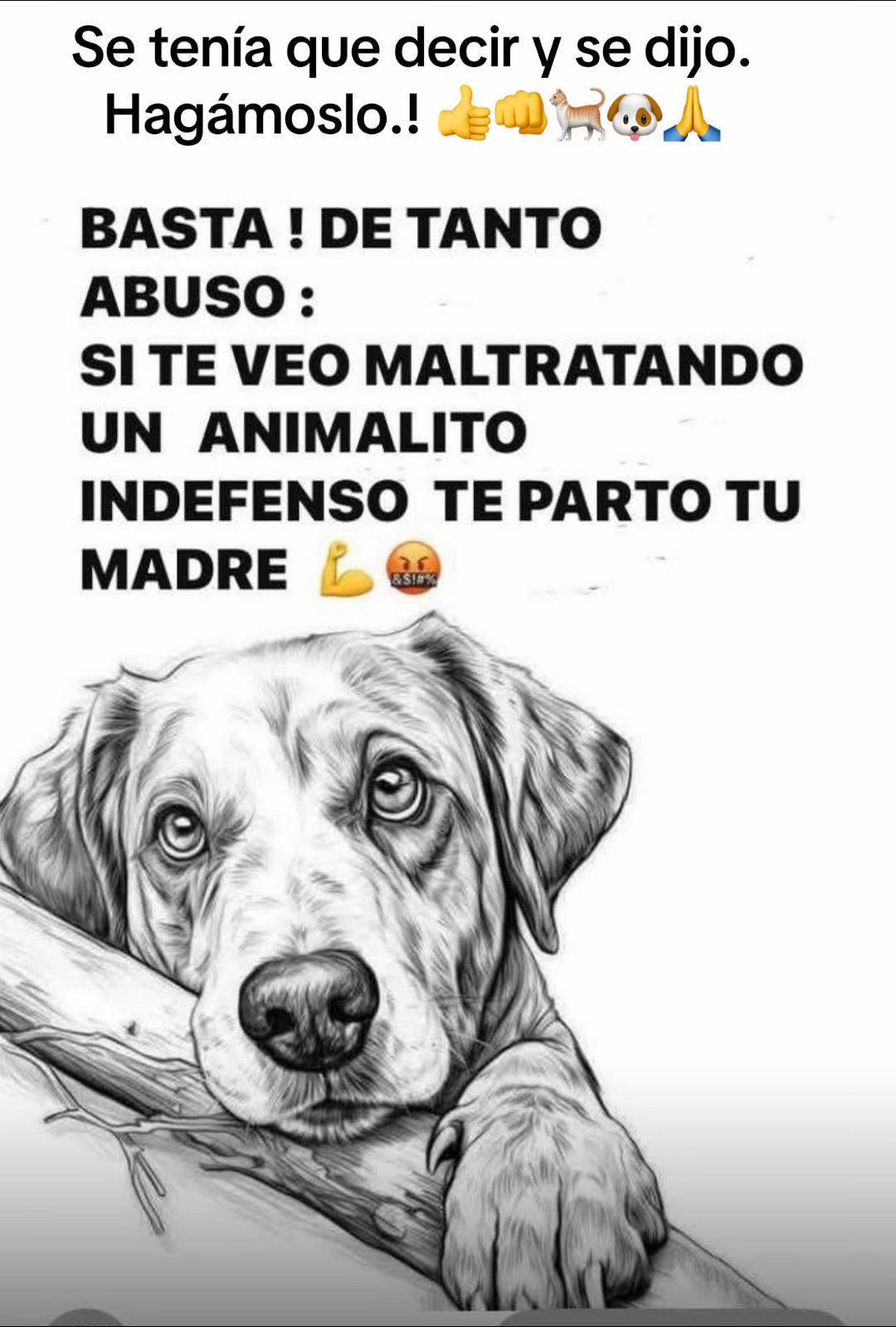@Patricia Briceño