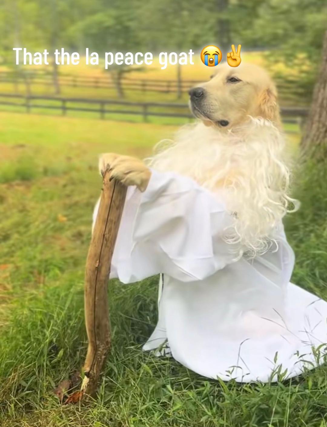 @&@&