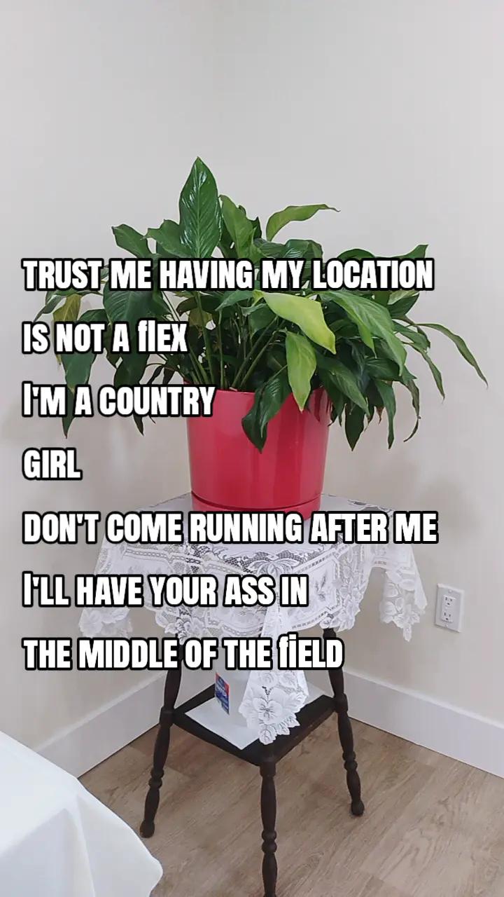 @LucyThiel.