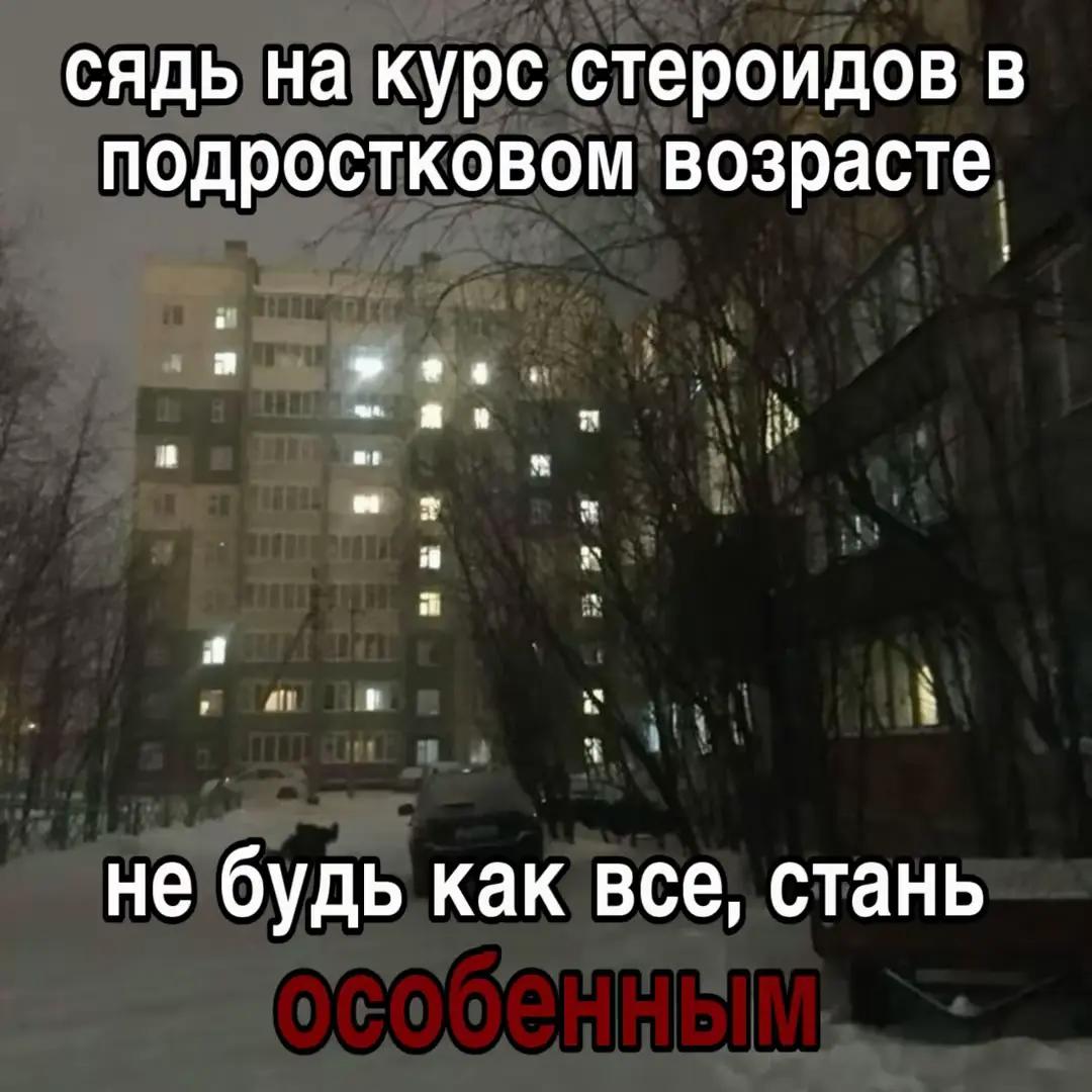 @ТГК: саншаймич вещает