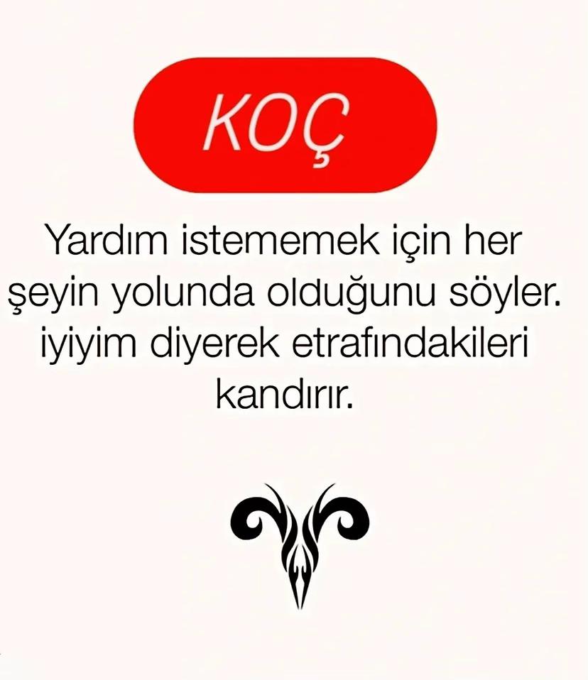 @kocburcu6