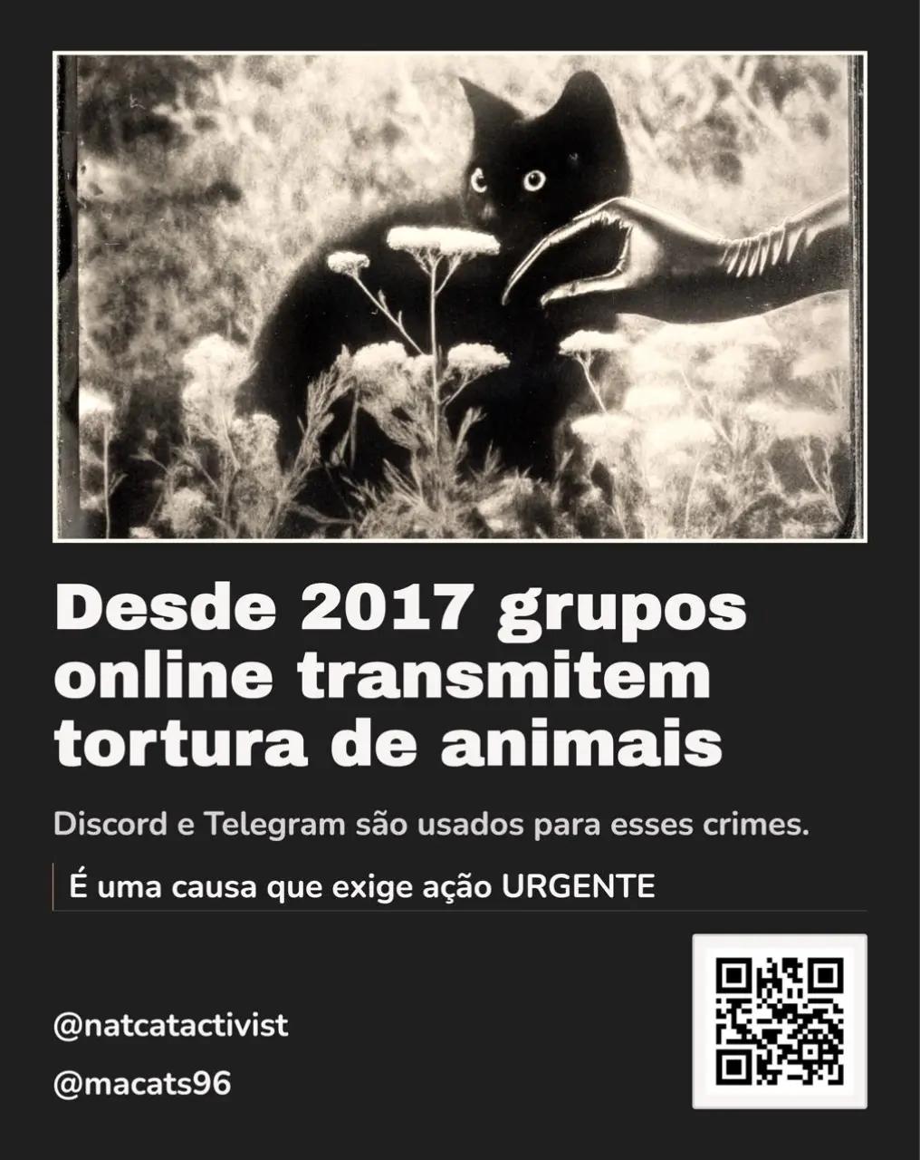 @Resist&ecirc;ncia Felina 🇧🇷