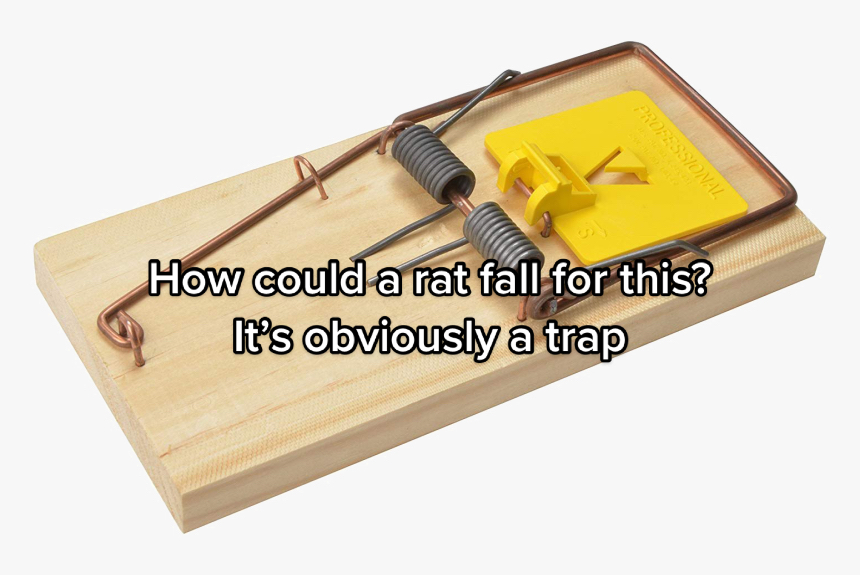 @Ari