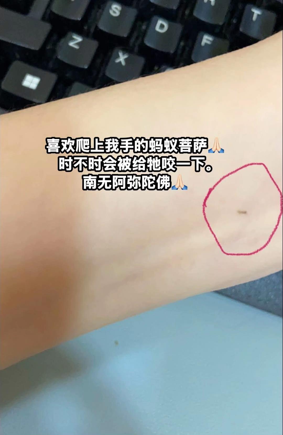 @净心