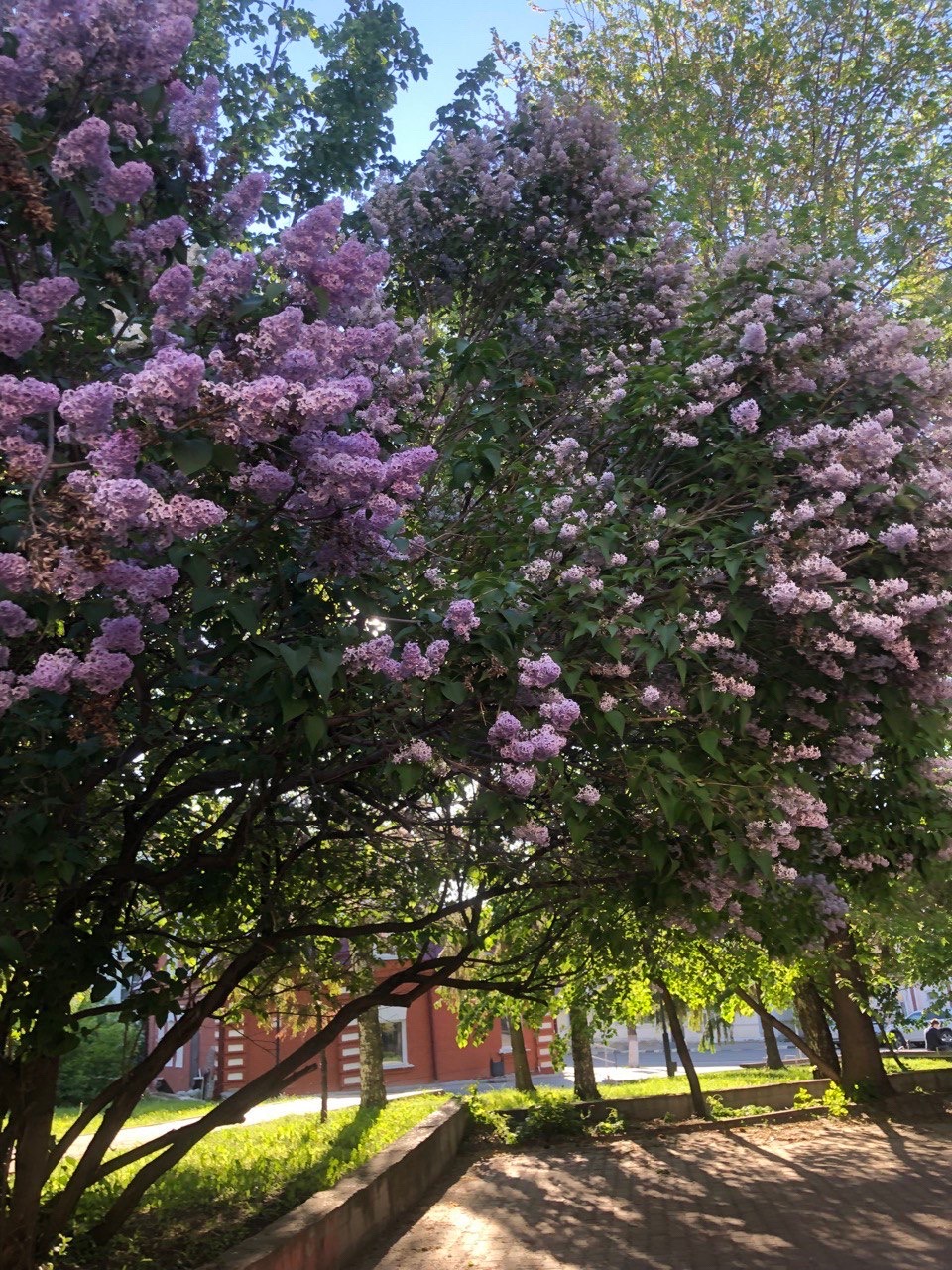 @Полина Туманова❤️🩹