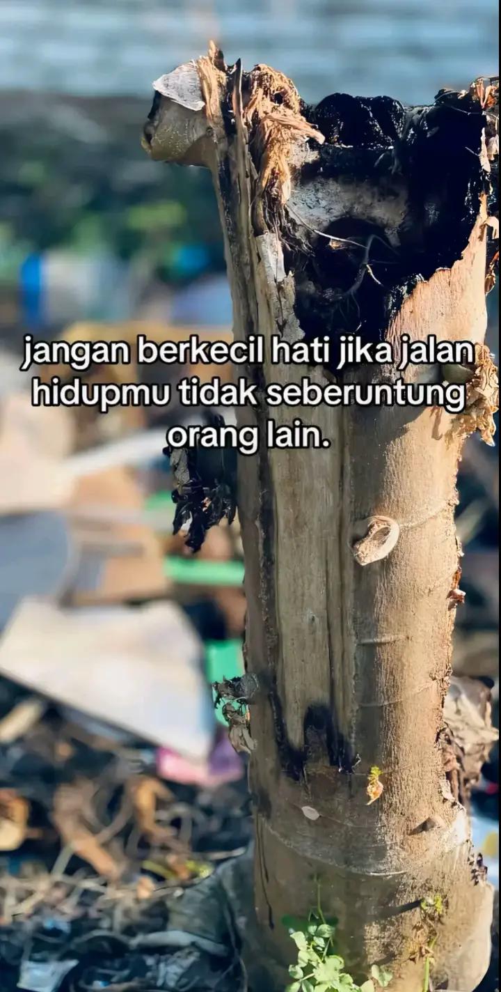@Amelia Putri 123456