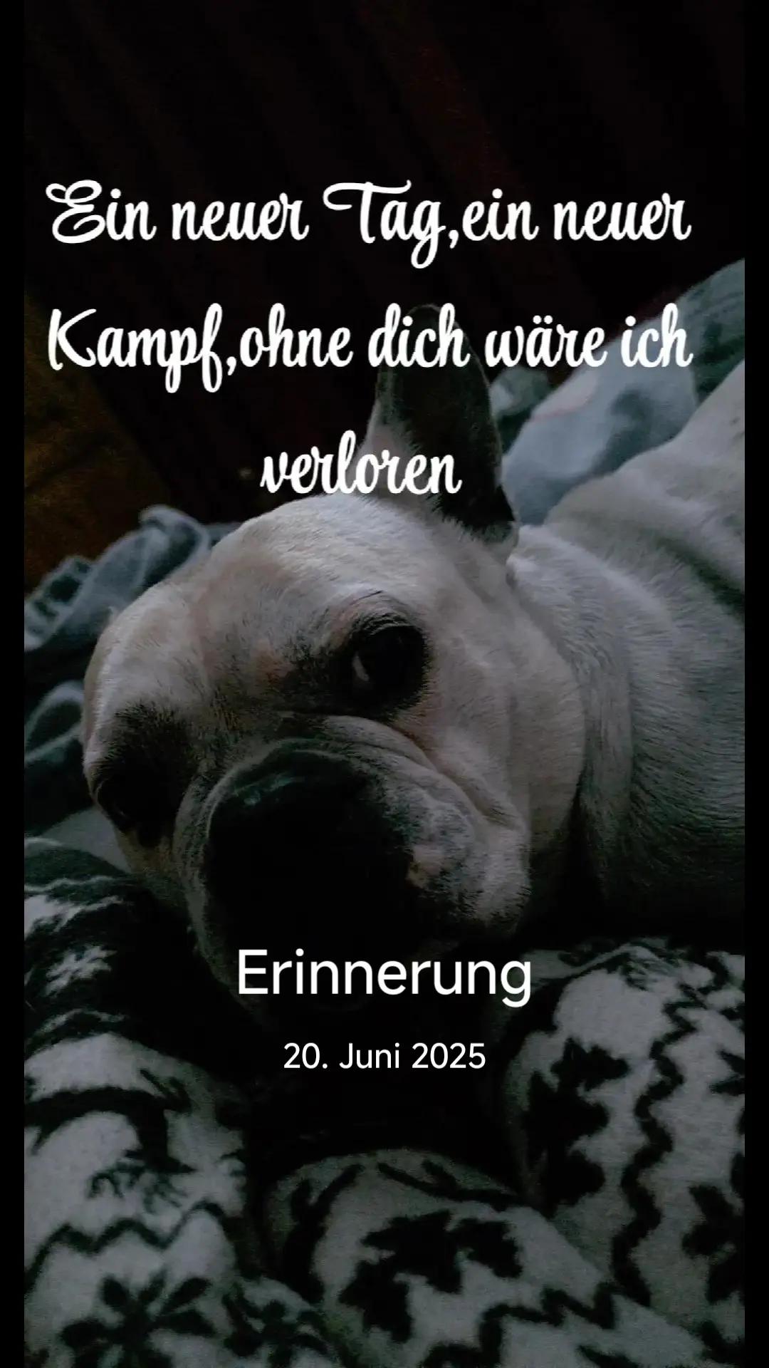@Vici🔥Die_Echte