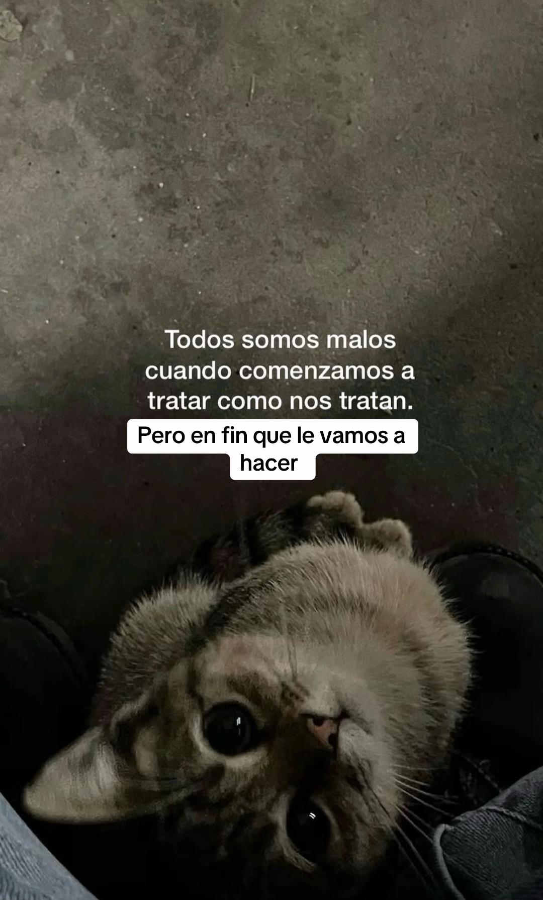 @Crayoli R