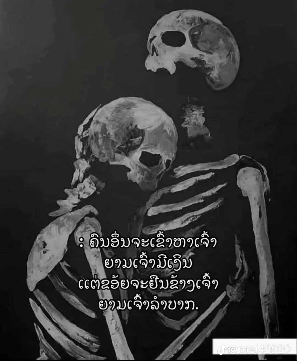 @🦭