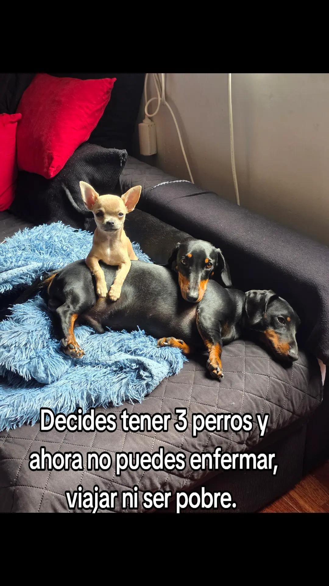@ygaarcia_