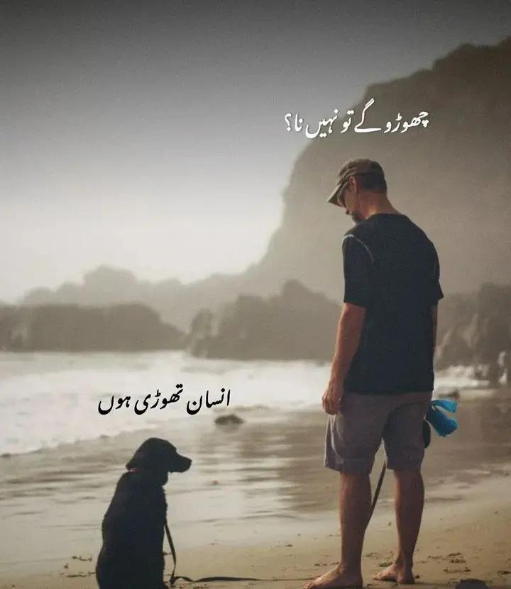 @⚔️عبدالرحمن مغل 🚭 💯