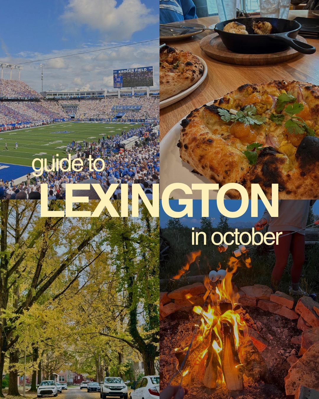 @Emma | Lexington Realtor🏡
