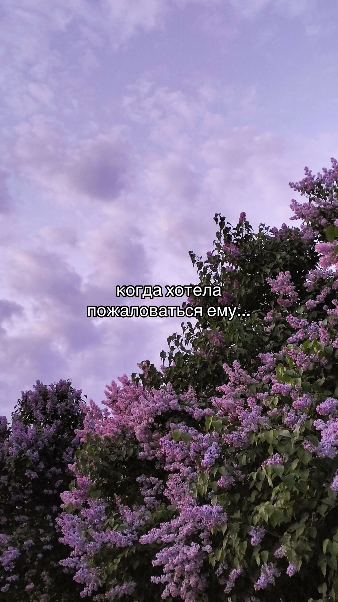 @𝓽𝓪𝓷𝓾𝓼𝓱𝓪