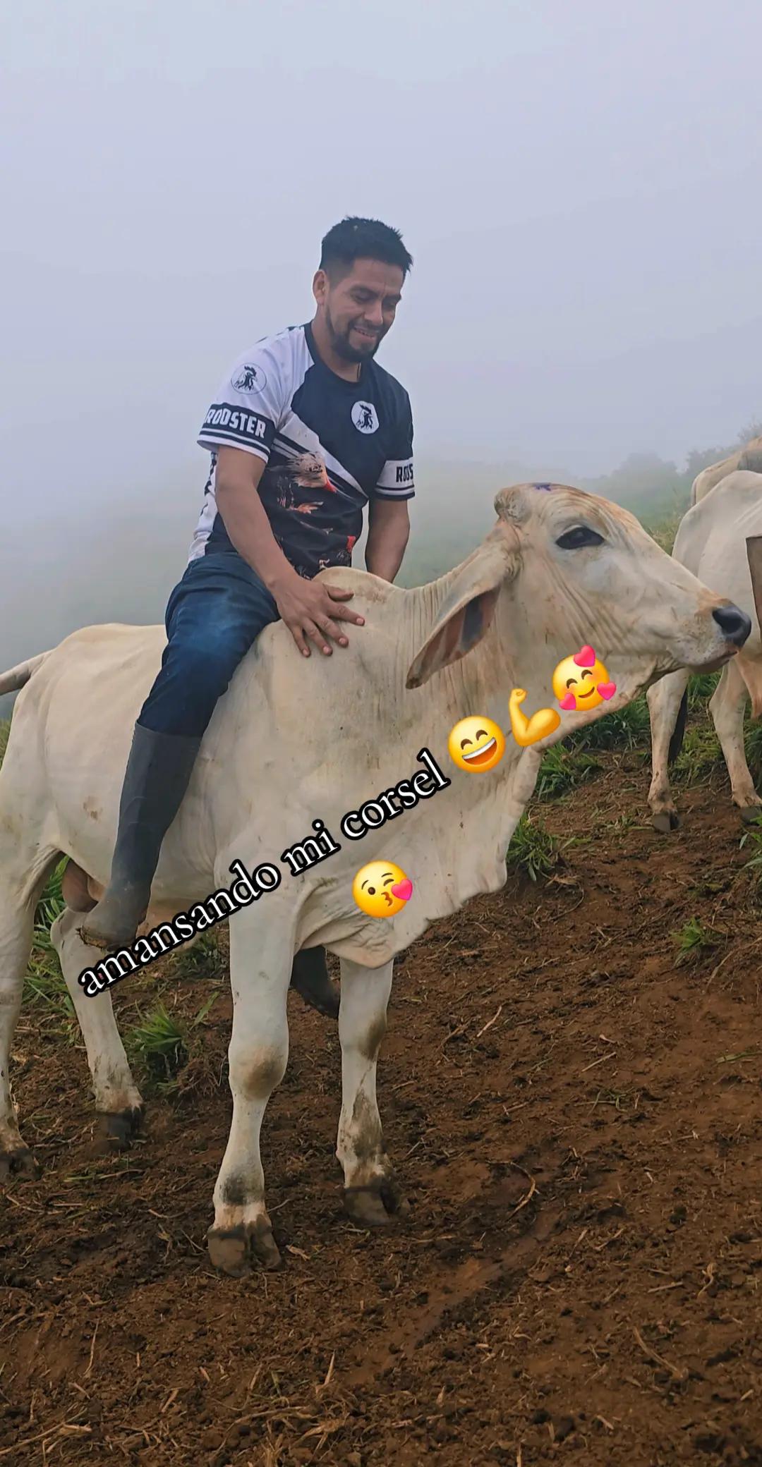 @🐓TU GALLO FINO 🐓