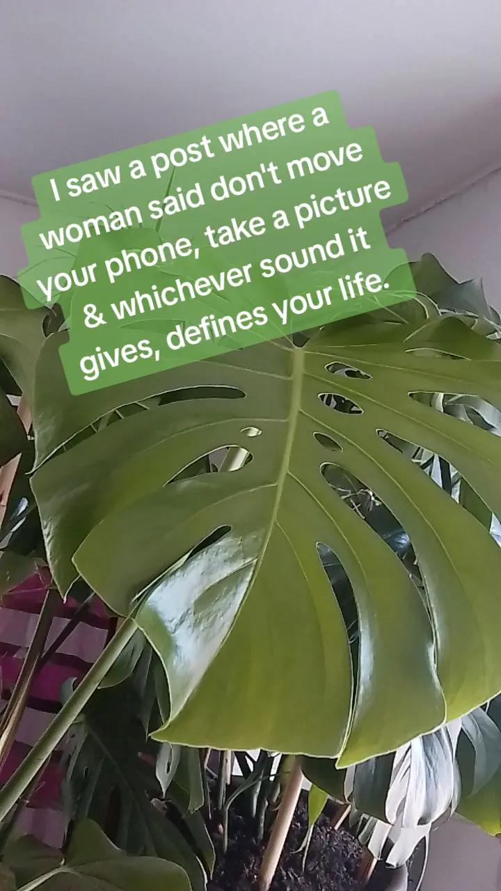 @TailorMadeBrown