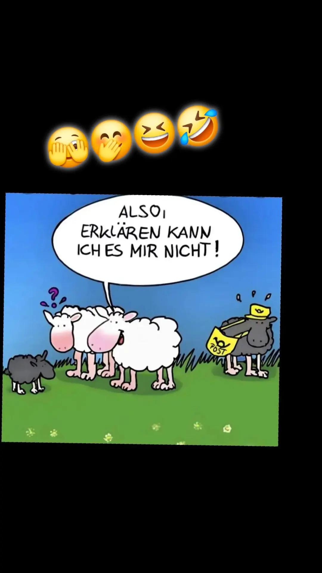 @Bär