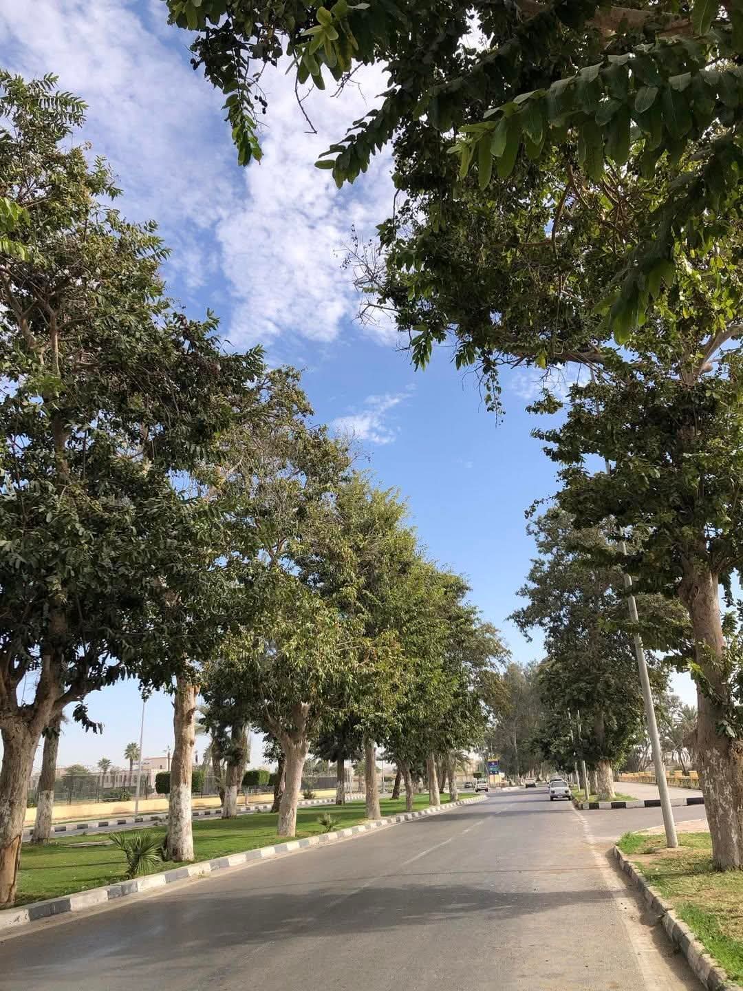 @Ruaydan 🤎🦋