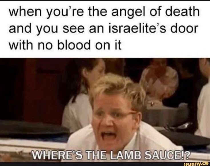 @Elixer4life